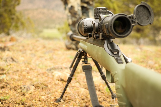 Rifle with scope on bipod